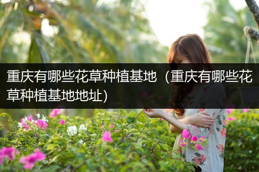 重庆有哪些花草种植基地（重庆有哪些花草种植基地地址）