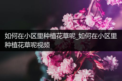如何在小区里种植花草呢_如何在小区里种植花草呢视频