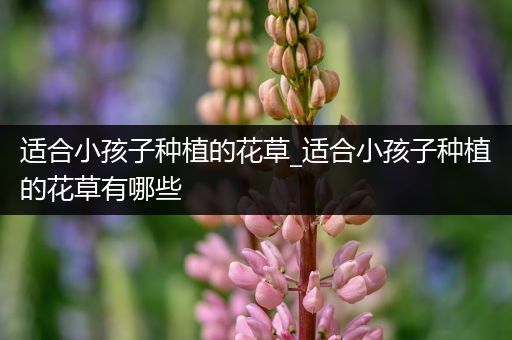 适合小孩子种植的花草_适合小孩子种植的花草有哪些