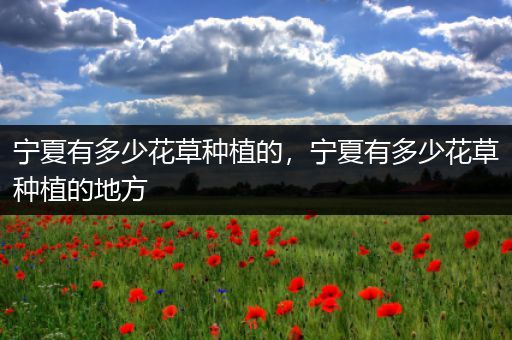 宁夏有多少花草种植的，宁夏有多少花草种植的地方