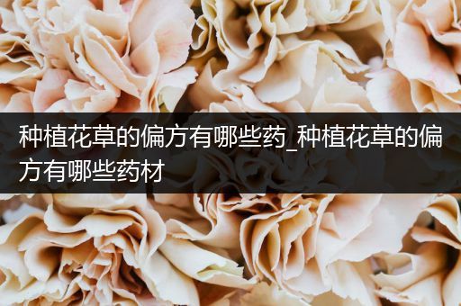 种植花草的偏方有哪些药_种植花草的偏方有哪些药材