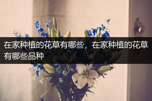 在家种植的花草有哪些，在家种植的花草有哪些品种