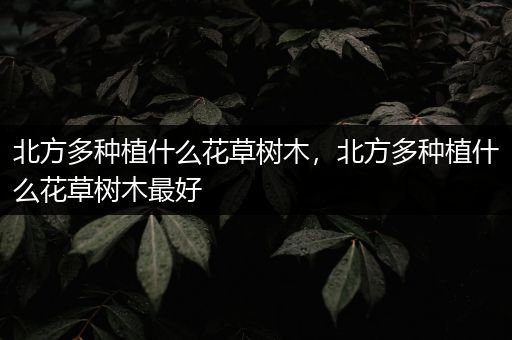北方多种植什么花草树木，北方多种植什么花草树木最好