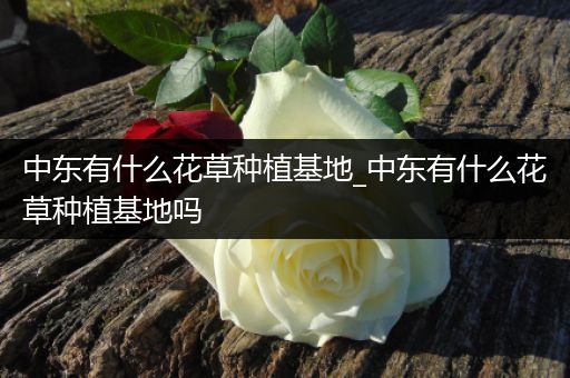 中东有什么花草种植基地_中东有什么花草种植基地吗