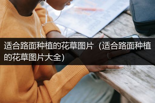 适合路面种植的花草图片（适合路面种植的花草图片大全）