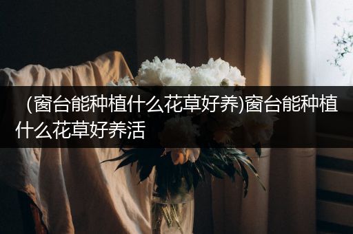 （窗台能种植什么花草好养)窗台能种植什么花草好养活