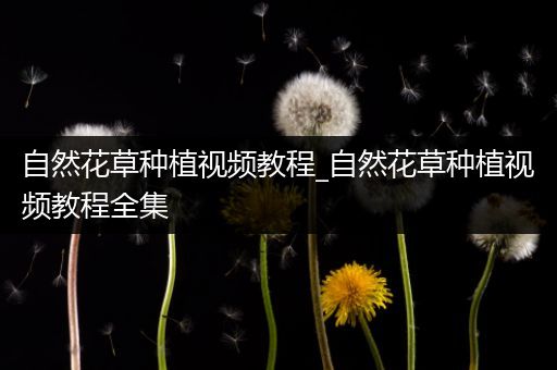 自然花草种植视频教程_自然花草种植视频教程全集