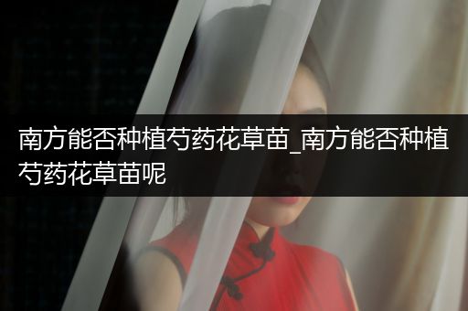 南方能否种植芍药花草苗_南方能否种植芍药花草苗呢