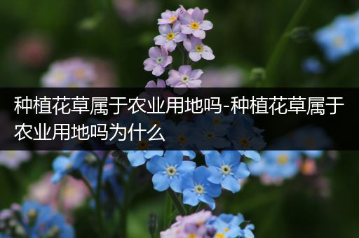 种植花草属于农业用地吗-种植花草属于农业用地吗为什么