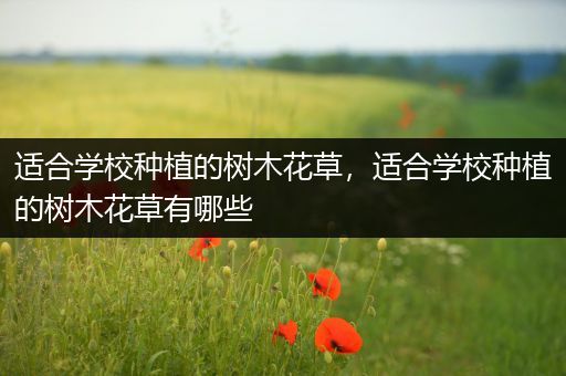 适合学校种植的树木花草，适合学校种植的树木花草有哪些