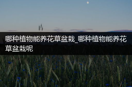 哪种植物能养花草盆栽_哪种植物能养花草盆栽呢