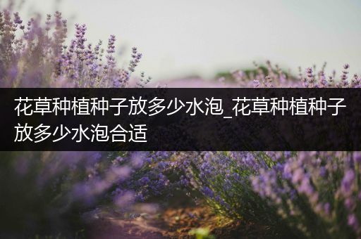 花草种植种子放多少水泡_花草种植种子放多少水泡合适