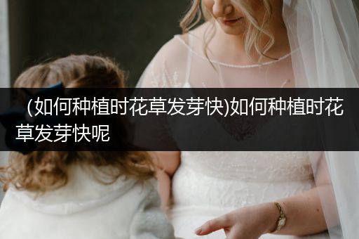 （如何种植时花草发芽快)如何种植时花草发芽快呢