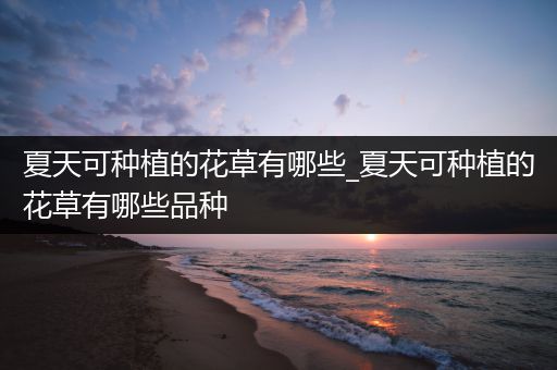 夏天可种植的花草有哪些_夏天可种植的花草有哪些品种