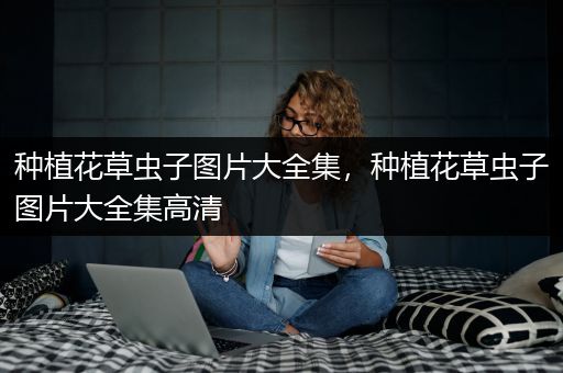 种植花草虫子图片大全集，种植花草虫子图片大全集高清