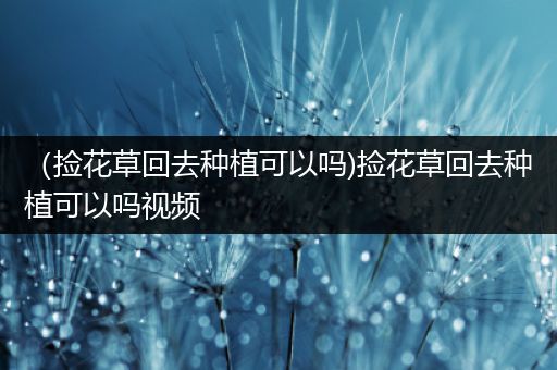 （捡花草回去种植可以吗)捡花草回去种植可以吗视频