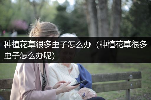 种植花草很多虫子怎么办（种植花草很多虫子怎么办呢）