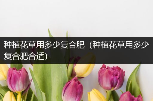 种植花草用多少复合肥（种植花草用多少复合肥合适）