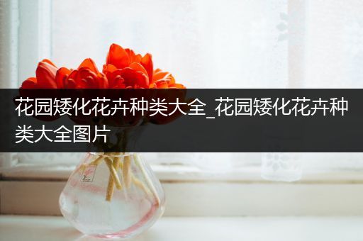花园矮化花卉种类大全_花园矮化花卉种类大全图片
