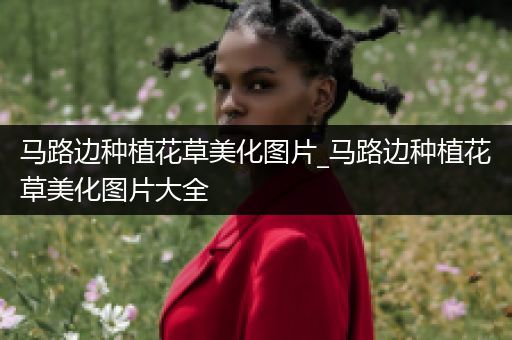 马路边种植花草美化图片_马路边种植花草美化图片大全