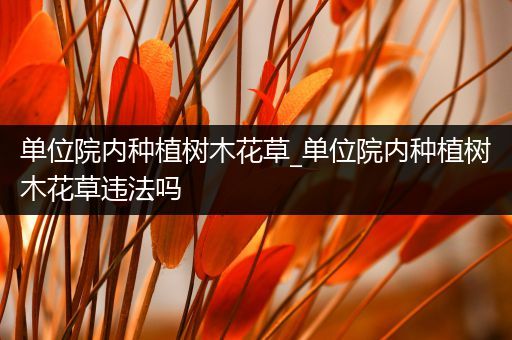 单位院内种植树木花草_单位院内种植树木花草违法吗