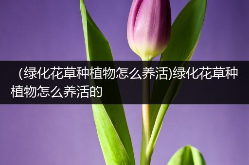 （绿化花草种植物怎么养活)绿化花草种植物怎么养活的