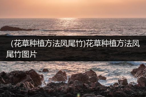 （花草种植方法凤尾竹)花草种植方法凤尾竹图片