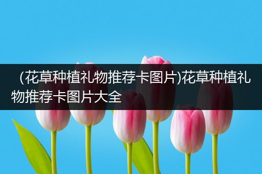 （花草种植礼物推荐卡图片)花草种植礼物推荐卡图片大全