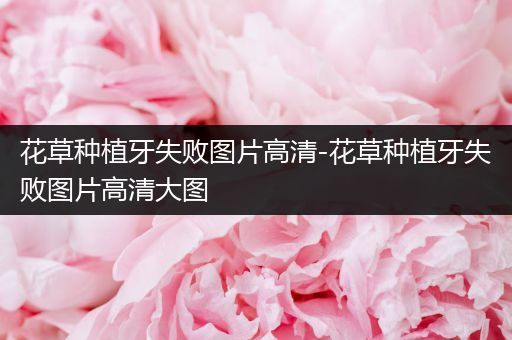 花草种植牙失败图片高清-花草种植牙失败图片高清大图