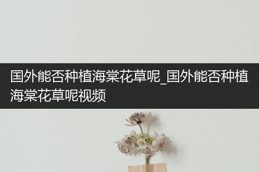 国外能否种植海棠花草呢_国外能否种植海棠花草呢视频