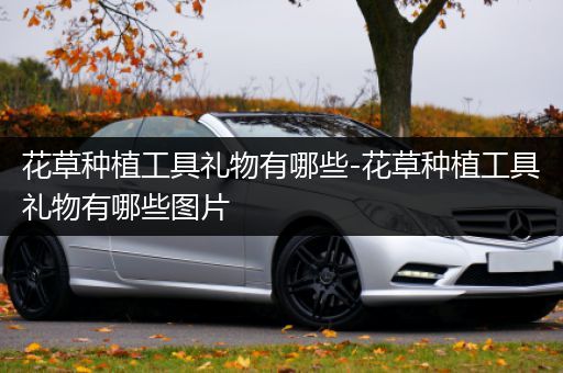 花草种植工具礼物有哪些-花草种植工具礼物有哪些图片