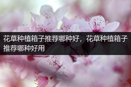 花草种植箱子推荐哪种好，花草种植箱子推荐哪种好用