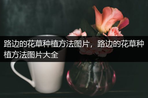 路边的花草种植方法图片，路边的花草种植方法图片大全