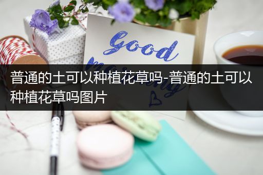 普通的土可以种植花草吗-普通的土可以种植花草吗图片