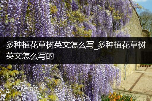 多种植花草树英文怎么写_多种植花草树英文怎么写的