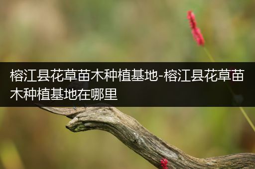 榕江县花草苗木种植基地-榕江县花草苗木种植基地在哪里