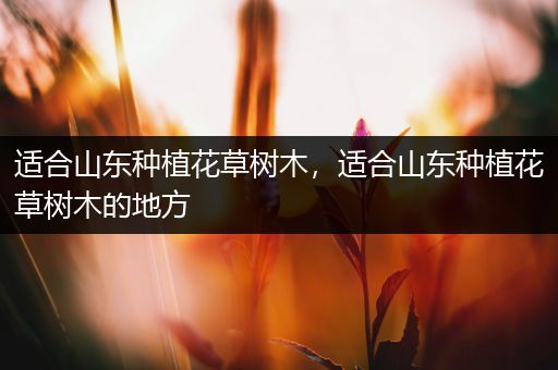 适合山东种植花草树木，适合山东种植花草树木的地方