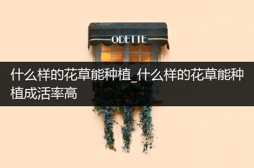 什么样的花草能种植_什么样的花草能种植成活率高