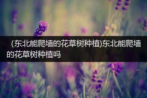 （东北能爬墙的花草树种植)东北能爬墙的花草树种植吗