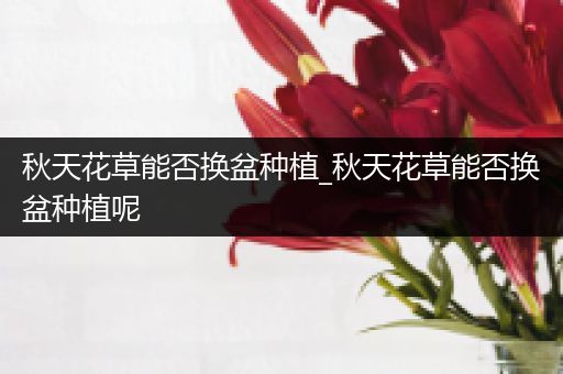 秋天花草能否换盆种植_秋天花草能否换盆种植呢