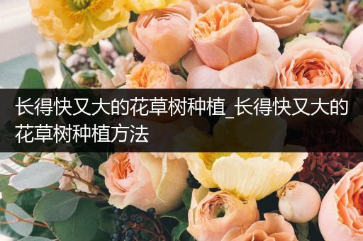 长得快又大的花草树种植_长得快又大的花草树种植方法