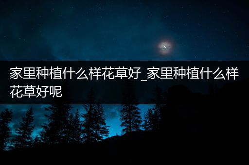 家里种植什么样花草好_家里种植什么样花草好呢