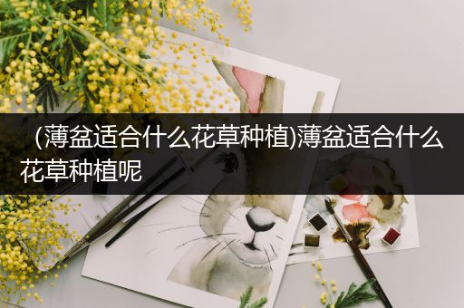 （薄盆适合什么花草种植)薄盆适合什么花草种植呢