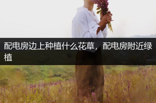 配电房边上种植什么花草，配电房附近绿植