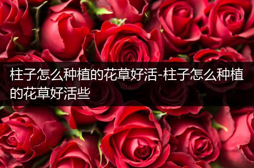 柱子怎么种植的花草好活-柱子怎么种植的花草好活些