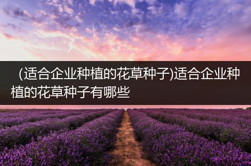 （适合企业种植的花草种子)适合企业种植的花草种子有哪些
