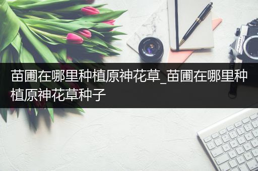 苗圃在哪里种植原神花草_苗圃在哪里种植原神花草种子