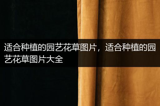 适合种植的园艺花草图片，适合种植的园艺花草图片大全