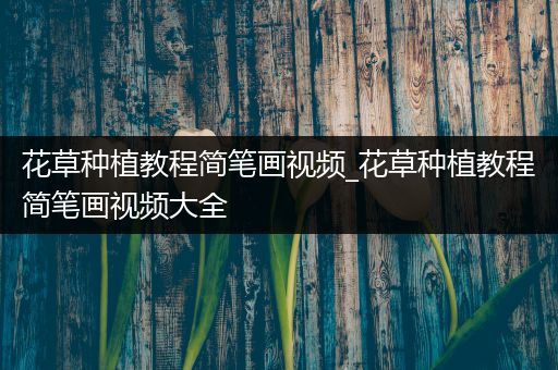 花草种植教程简笔画视频_花草种植教程简笔画视频大全