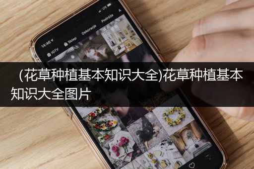 （花草种植基本知识大全)花草种植基本知识大全图片